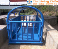 can-gia-suc-can-500kg-1tan-15tan
