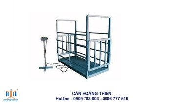 can-heo-dien-tu-yaohua-500kg
