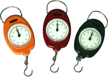 can-treo-mini-4