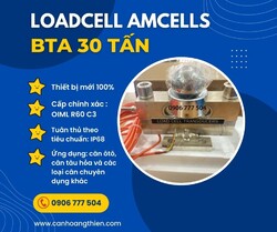 loadcell-bta-30-tan.jpg